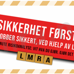 Last Minute Risiko Analyse - 10 stykk